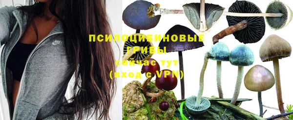 гашишное масло Алексеевка