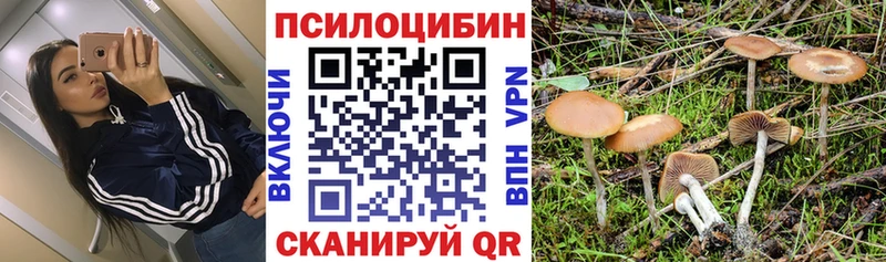 Галлюциногенные грибы MAGIC MUSHROOMS  закладки  кракен зеркало  Ижевск 