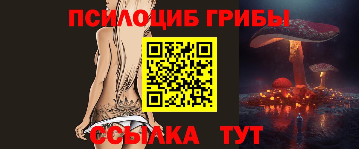 Ижевск  Псилоцибиновые грибы Magic Shrooms  Псилоцибиновые грибы Psilocybe  Вход с VPN 